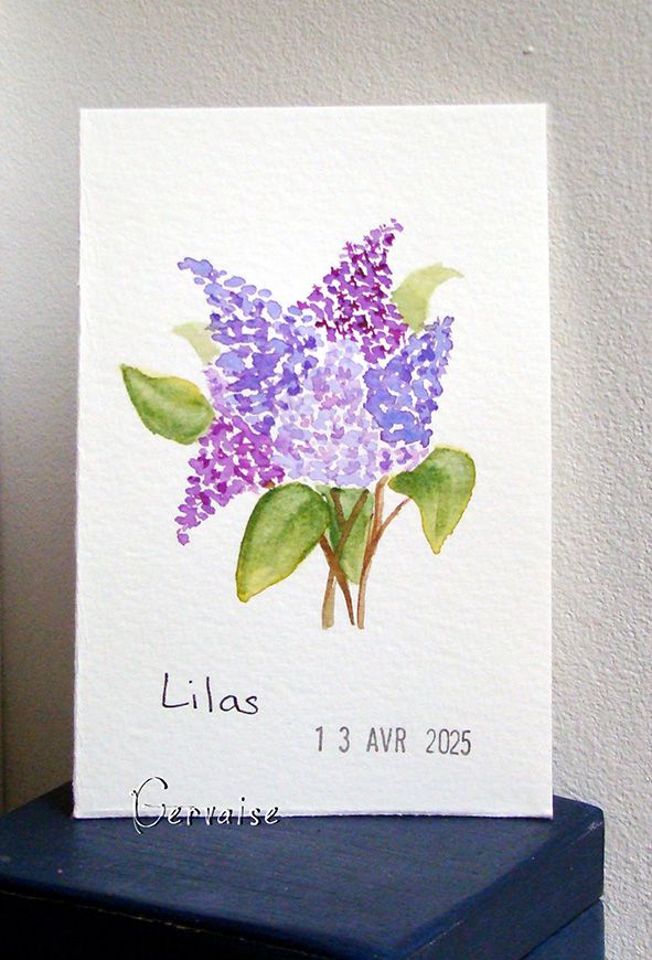 25 Lilas