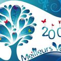 Une très bonne année 2009 à toutes et à tous!