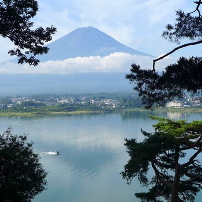 Voyage au Japon - Jour #12 - Le Mont et du wasabi