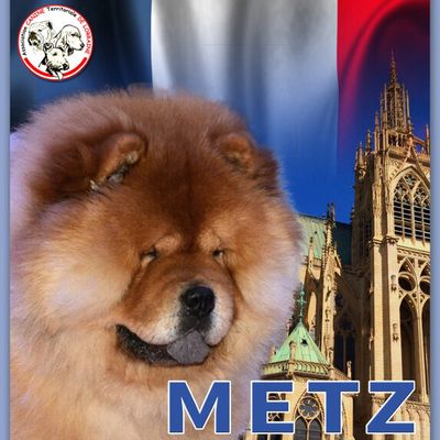 nous serons présents les 4 et 5 juin au