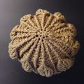 Bonnet feuille au crochet
