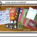 blog candy de laetitia