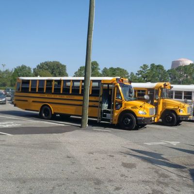 Jour 2 : Bush Garden Williamsburg