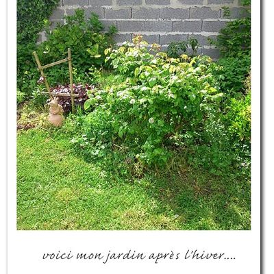 Un peu de jardinage