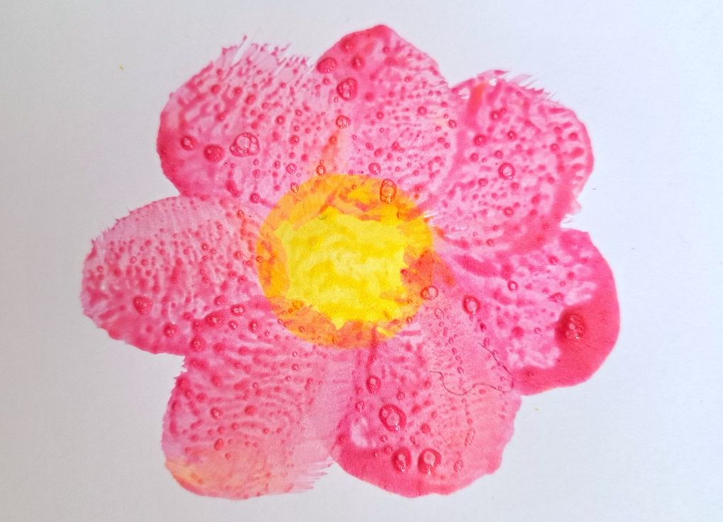 Fleurs couleurs chaudes