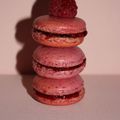 Macaron Framboise