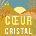 Coeur de cristal de Frédéric Lenoir