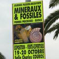 BOURSES AUX MINERAUX 2012 - LA VALETTE DU VAR