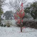 Quand l'automne a rendez-vous avec l'hiver