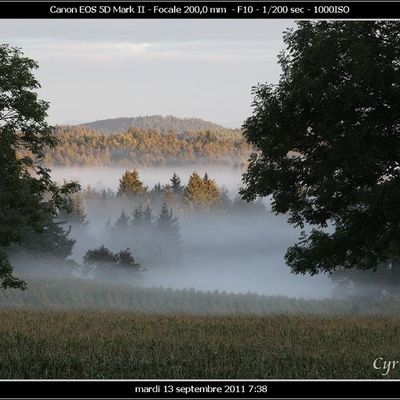 Brume matinale au lever du jour