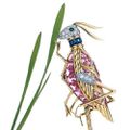 Grasshopper brooch by Jean Schlumberger for Tiffany & Co, 1956
