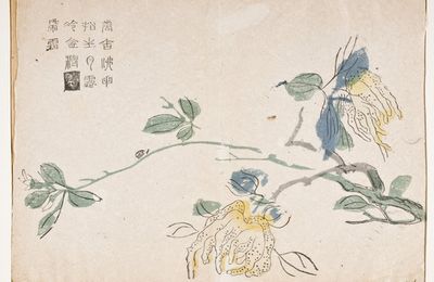 The Mustard Seed Garden Manual of Painting (Jieziyuan Huazhuan)