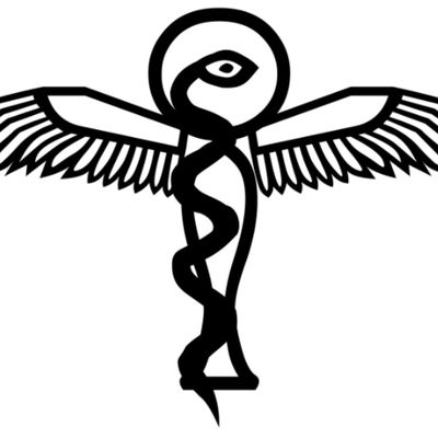 Histoire de la Médecine en Egypte (ISSN 2270-2105)