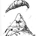 Le vol du croissant sauvage - pyramide de Giseh /