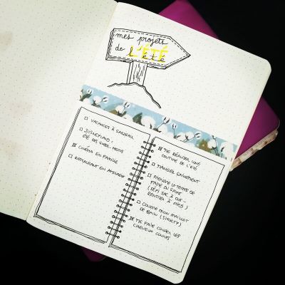 Mes projets de l'été