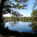 L'Etang de la Glacière à ST VINCENT DE PAUL (suite)....