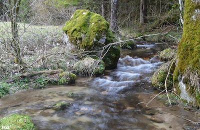 [Drôme] le long du ruisseau de Léoncel