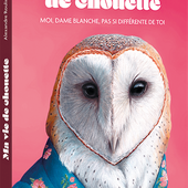 Ma vie de chouette