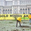 Greenpeace activists dig for gold