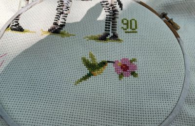 Avancée toise et broderie naissance ...