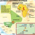 Mali : « L' intervention militaire française comporte de grands risques de guerre » (PCF 12/01/2013)