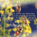 Les abeilles pour votre santé 