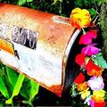 The Newsletter ...