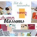 Kit de Novembre