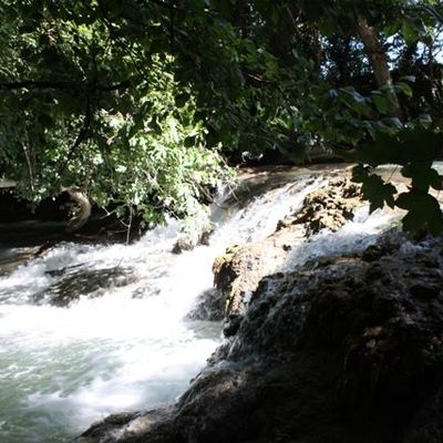 Journée au "Pavillon" - 25 juillet 2009