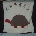 couverture tortue