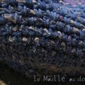 lirette bleue en mer indienne et au crochet