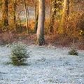 Première neige et quelques croix ...