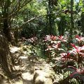 Ubud : Mini jungle trip