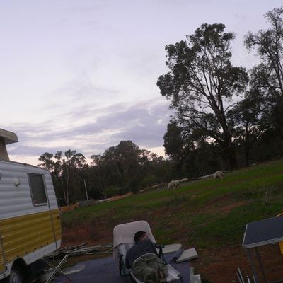 Reste encore, J + 105