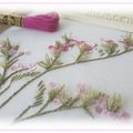 Mise à jour - Fleurs de Statices - 