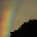 Basse terre II : La confirmation sauvage - Autour du volcan