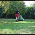 L'odeur de l'herbe fraichement coupée