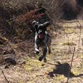 LEXY dans les Bauges en Savoie