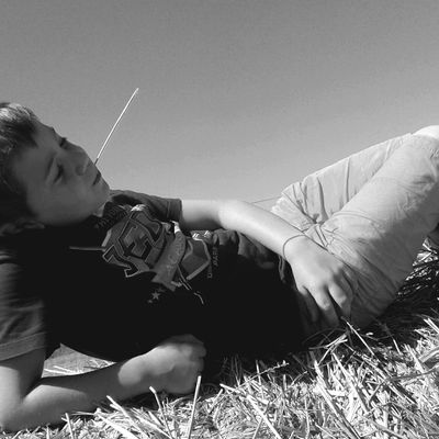 Photographie (campagne, été 2016) 5