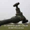 L’été arrive… économisons l’eau !