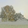 Le tour des étangs du Rheu (Ille-et-Vilaine) le 1er novembre 2016 (10)