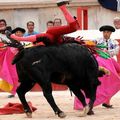 Corrida à Nîmes : en exclusivité, la photo du bas-ventre de Matías Tejela