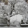 La cour de la Maison Rose sous la neige