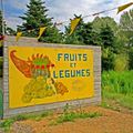 FRUITS ET LEGUMES,  L'EXPO