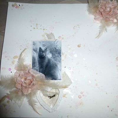 MAYA mon petit bonheur ...