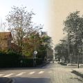 L'avenue Pasteur à Beauchamp...hier et aujourd'hui