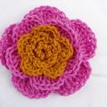 Une fleur au Crochet et hop ! C'est plus joli !!