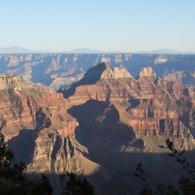Day 08 : une douce soirée au Grand Canyon