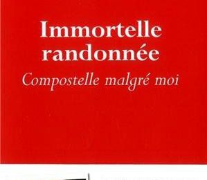 Immortelle randonnée de Jean-Christophe RUFIN