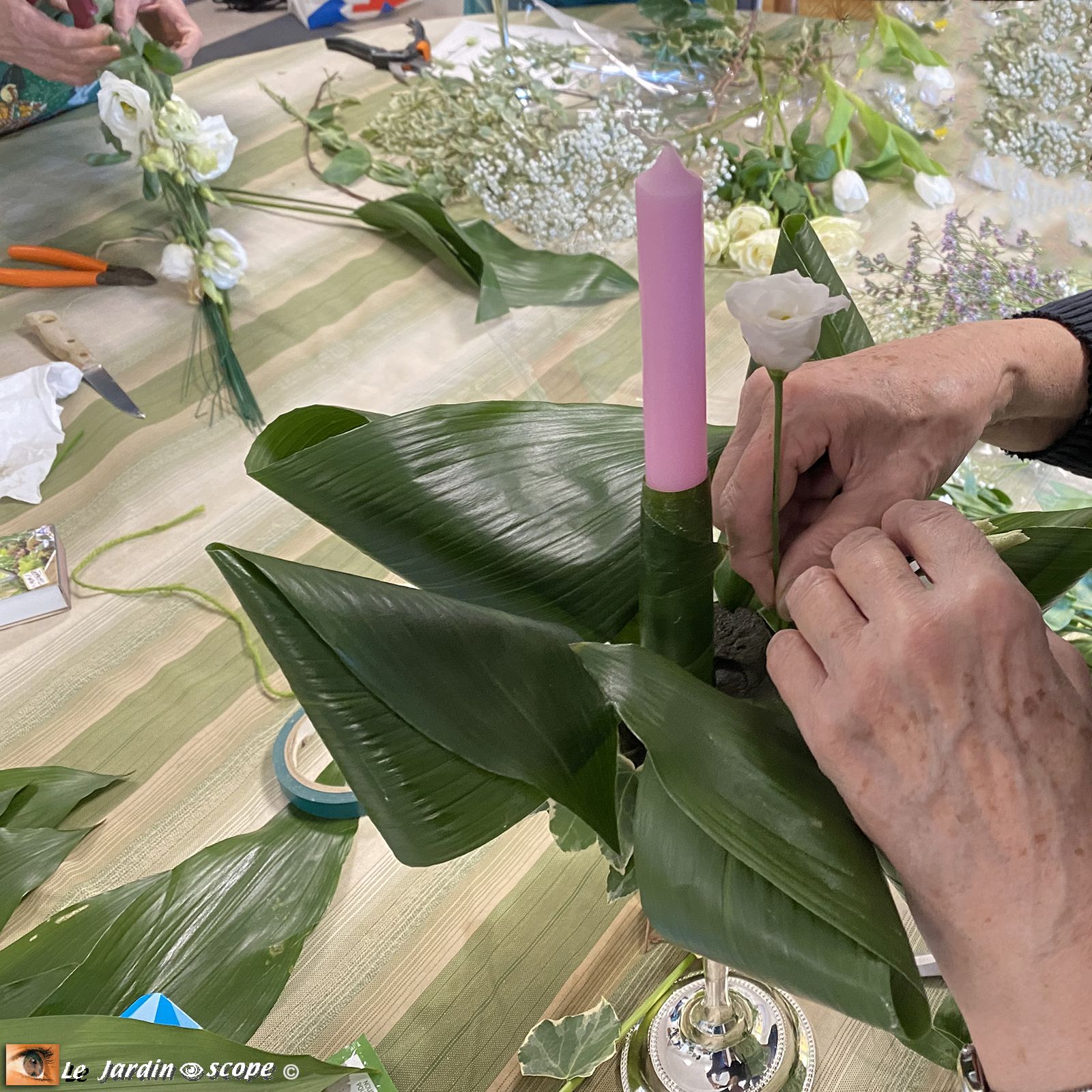 Les autres feuilles forment un beau bouquet de fête